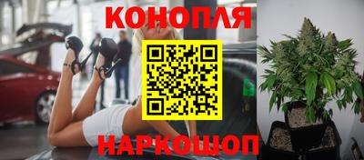 стаф Канаш