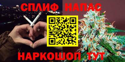 стаф Канаш