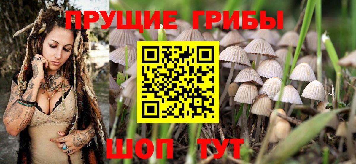 Псилоцибиновые грибы Psilocybe  где найти   Вход с VPN  Кушва  Галлюциногенные грибы мухоморы 