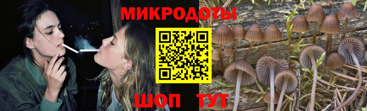 Галлюциногенные грибы Cubensis Кушва